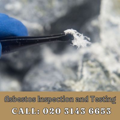 Comprehensive Asbestos Inspection and Testing Services in Cricklewood